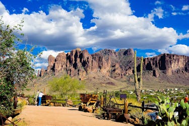 Apache Trail con tour di un giorno in Dolly Steamboat da Phoenix